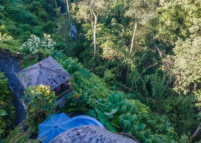 Awang - Awang * Ubud